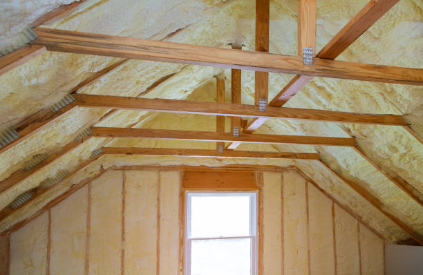 Best Eco-Friendly Insulation in Snoqualmie, WA