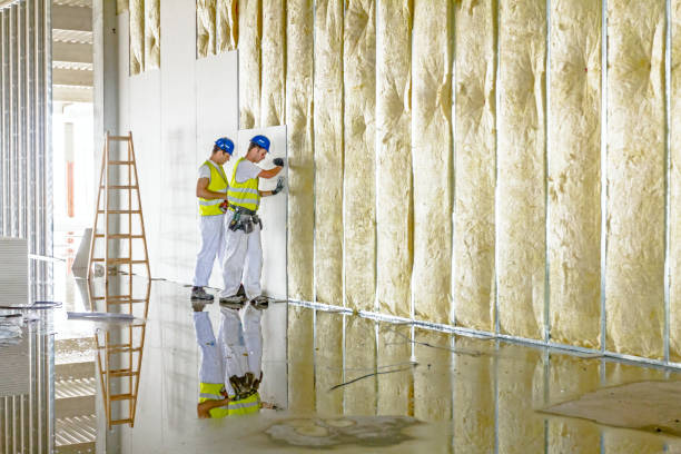 Best Insulation for Specific Applications in Snoqualmie, WA